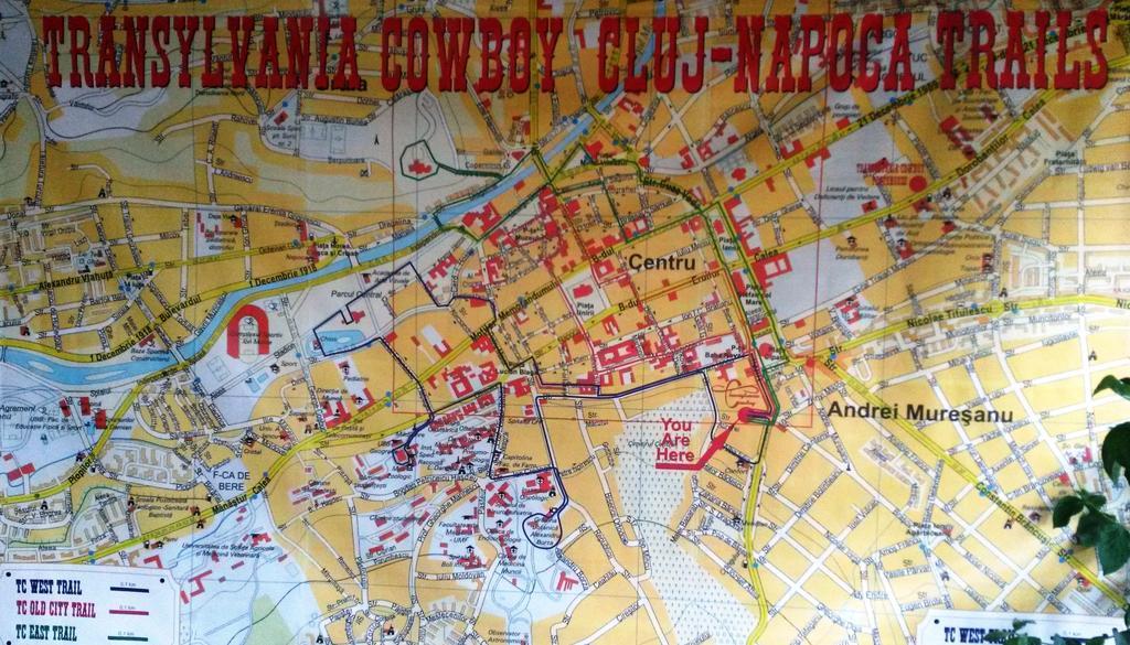 Transylvania Cowboy Cottage Cluj-Napoca Zimmer foto